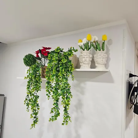 Daire Machiavelli House Katanya