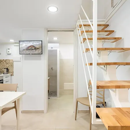 Machiavelli House * Katanya